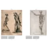 Anatomica, The Exquisite and Unsettling Art of Human Anatomy
