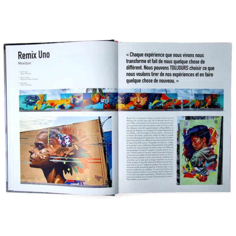Atlas de l'Art Urbain et du Graffiti (FRENCH VERSION)