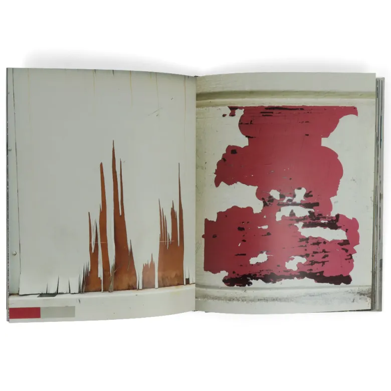 Barry McGee : Reproduction