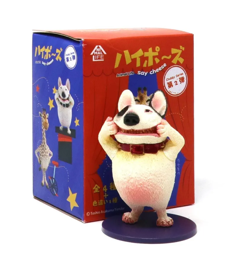 Chubby Series 2 - Say Cheese (Animal Life)