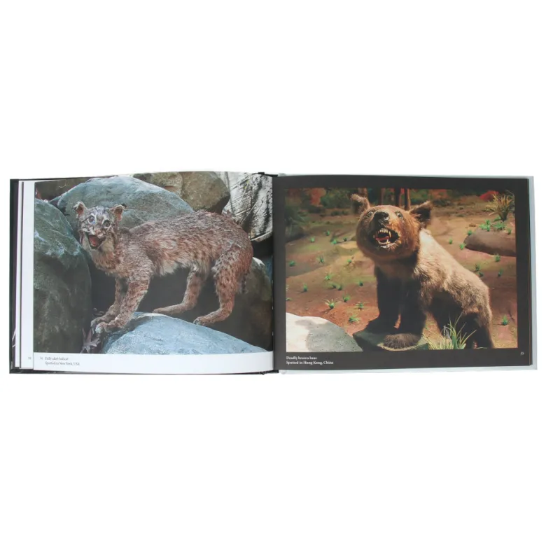 Crap Taxidermy