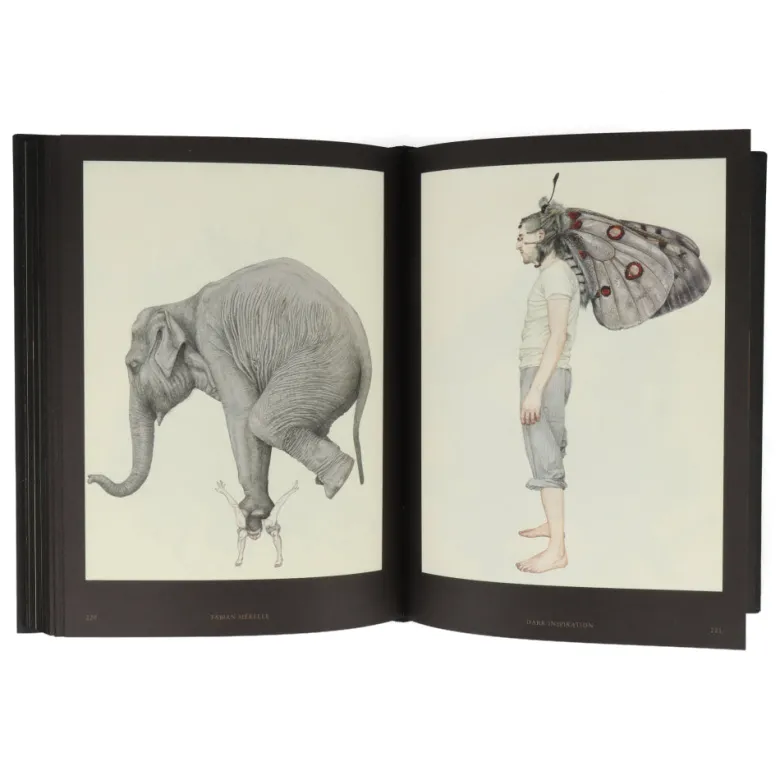 Dark Inspiration : 20th Anniversary Edition - Grotesque Illustrations, Art & Design