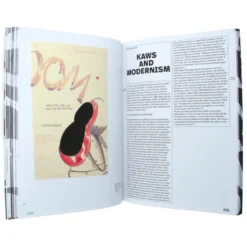 Kaws Art & Comics