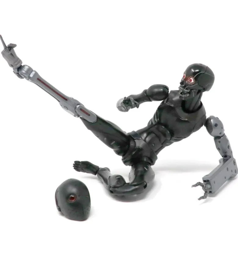 TOA Heavy Industries - 1/6 Anti CaRB and Reprogrammed Body